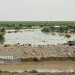 وزیر کشور از تالاب بین‌المللی هامون بازدید کرد